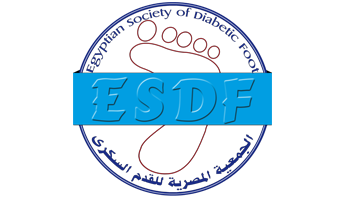 Logo du FSDE