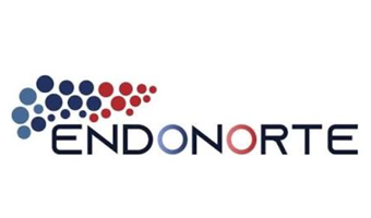 Endonorte logo