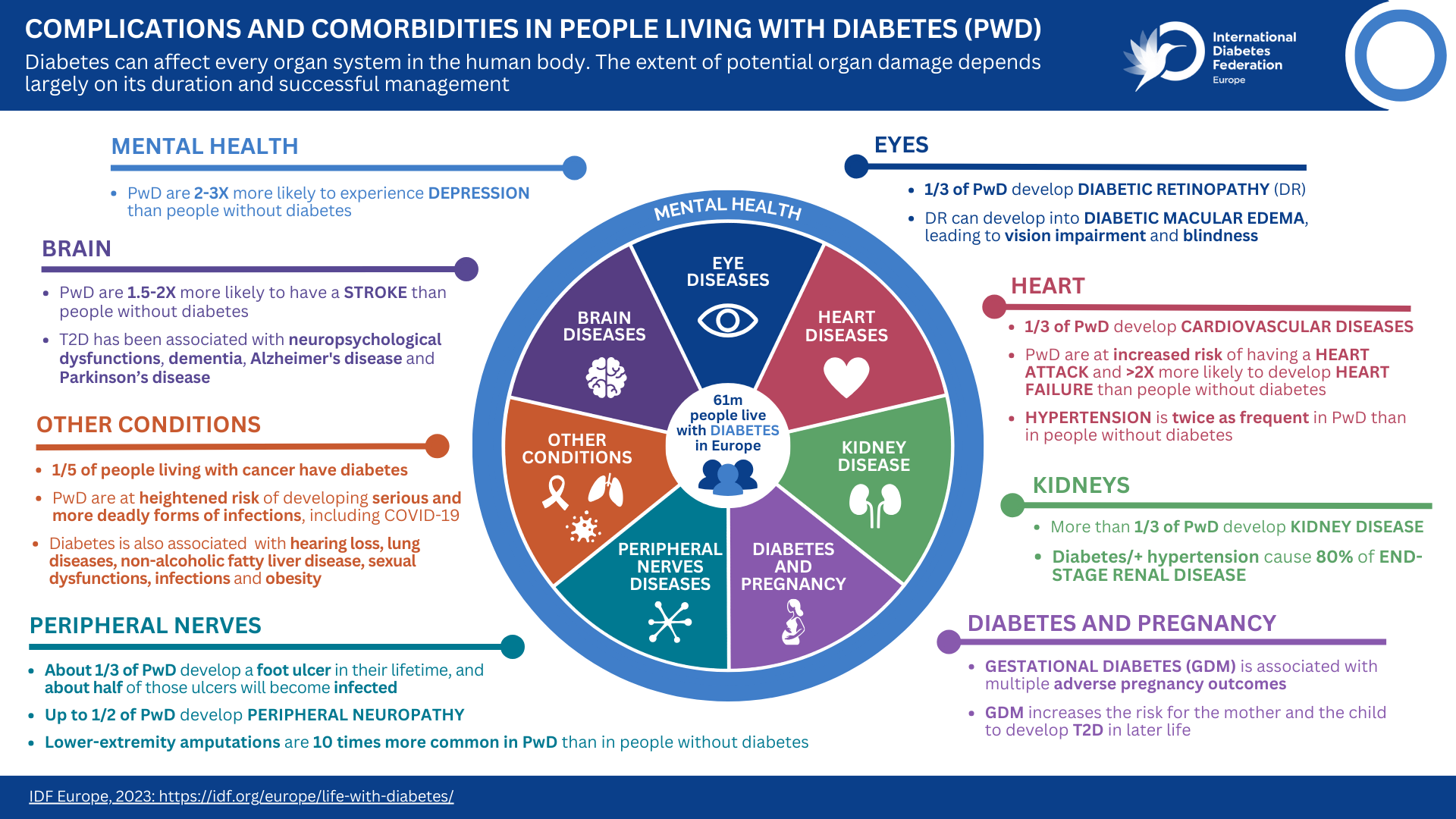 https://international-diabetes-federation.s3.eu-west-1.amazonaws.com/media/uploads/sites/2/2023/10/Wheel-of-complications_18.10.2023.png